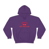 Thumbnail for Bayern Munich Unisex Hooded Sweatshirt