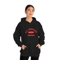 Thumbnail for Benfica Unisex Hooded Sweatshirt