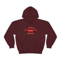 Thumbnail for Benfica Unisex Hooded Sweatshirt