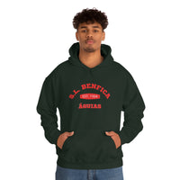 Thumbnail for Benfica Unisex Hooded Sweatshirt