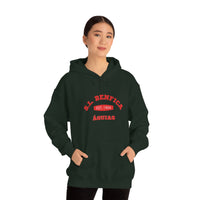 Thumbnail for Benfica Unisex Hooded Sweatshirt