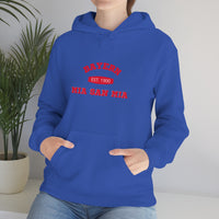 Thumbnail for Bayern Munich Unisex Hooded Sweatshirt