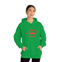 Thumbnail for Benfica Unisex Hooded Sweatshirt